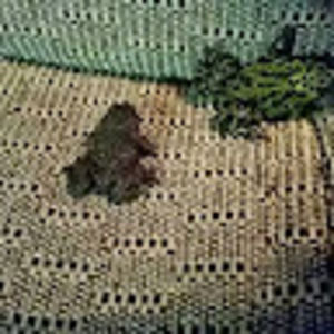 Meet your Posher, Tim